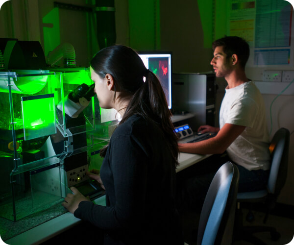 Two researchers working with laser instrumentation in a laboratory